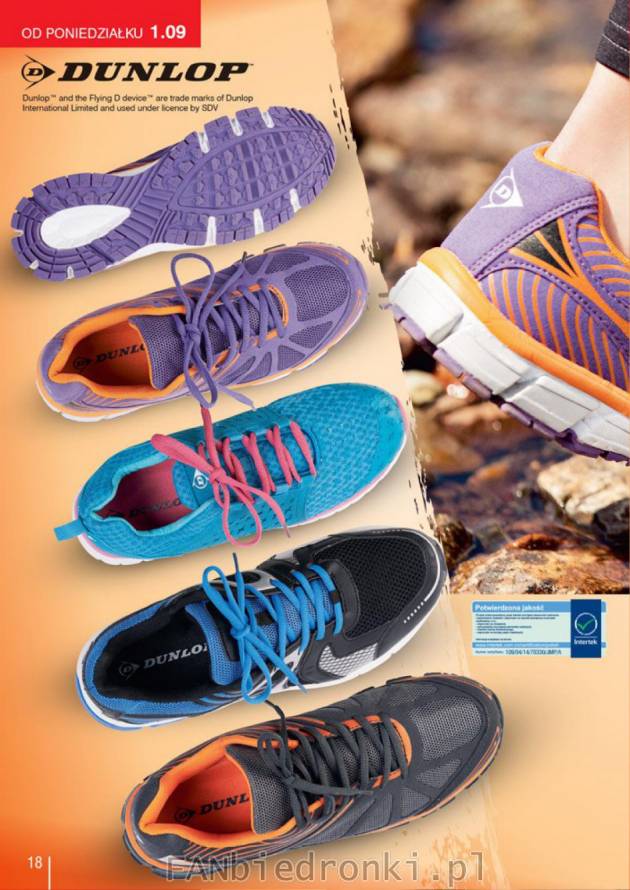 Kolorowe buty do biegania marki Dunlop dostępne w Biedronce.