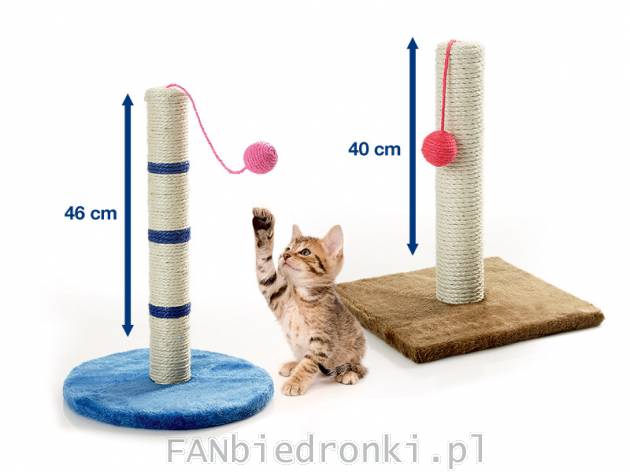 Drapak dla kota, cena: 19,99 PLN, cena za szt.
- stabilny
- dwa wzory do wyboru:
- ...