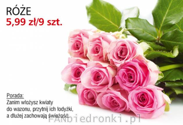 Kwiat Róża, Róże, Cena: 5,99 zł/9 szt.